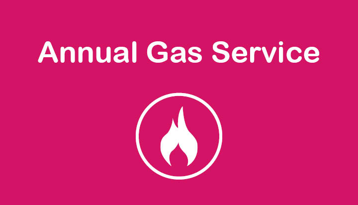 Annual Gas Service