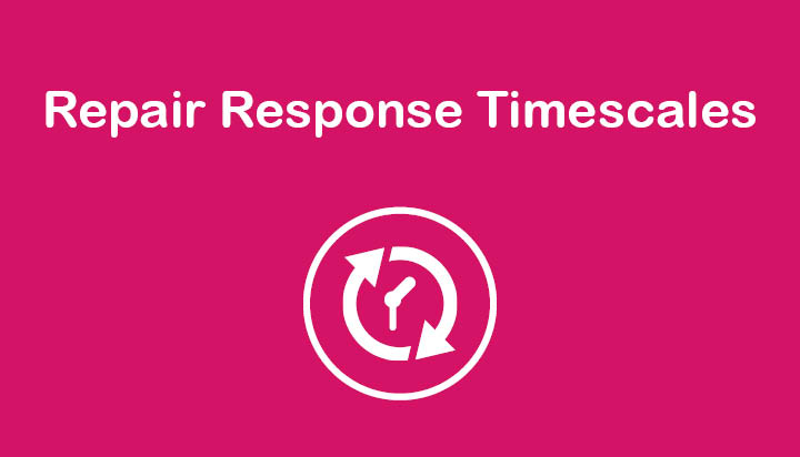 Repair Response Timescales